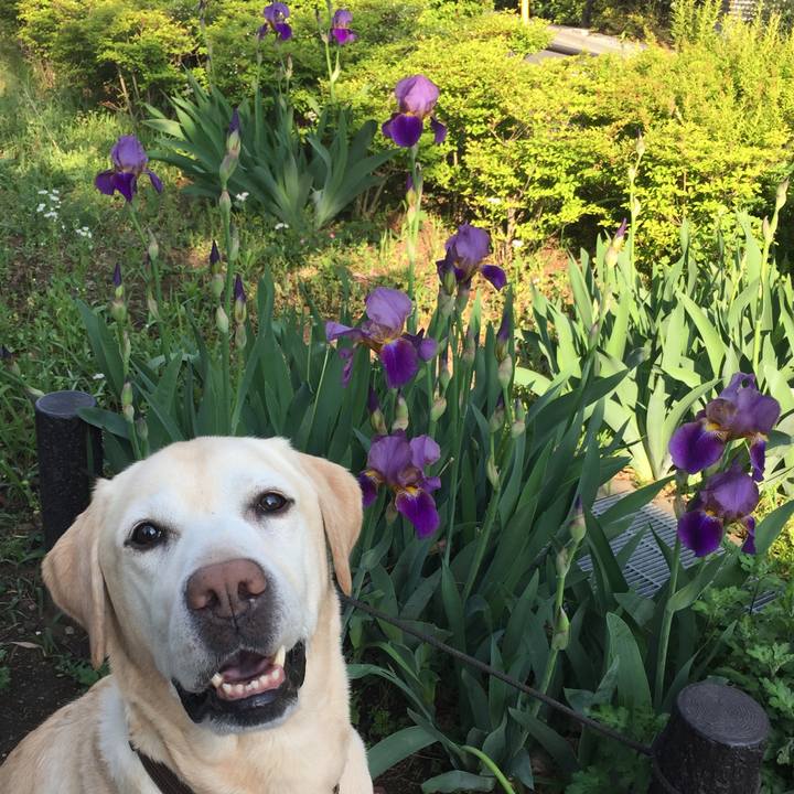 38b82940 21f7 4776 a10a ba202ff3a1dc 1524369337208