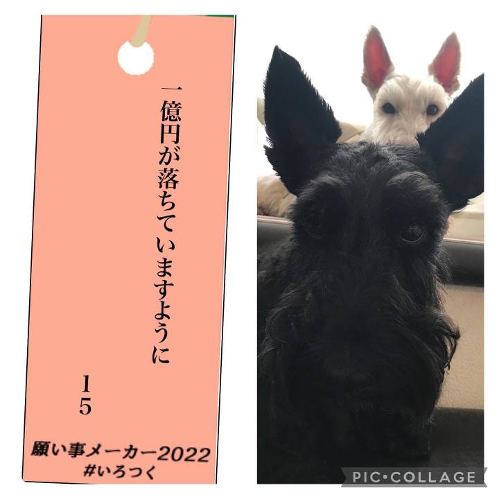 38b84266 00af 4524 b549 88ce82a019d4 1657158074842