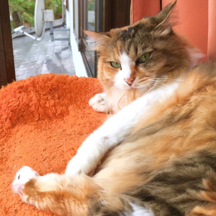 38b86810 08bc 4d77 ac48 a8629aec22c7 1563179249278