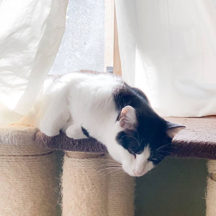 38b87750 03c8 4411 9690 0f226e12810f 1576117305408