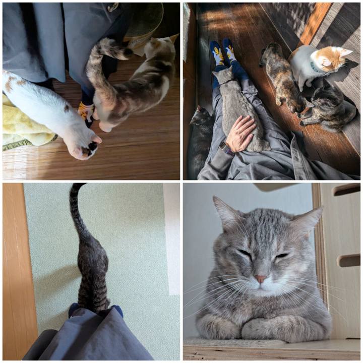 38b8b901 89c5 4c7f 84df 2ab730457f32 1763164154231