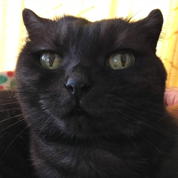 38b8f89f 096b 443a 93d7 9e65c7dcf28b 1535953322778