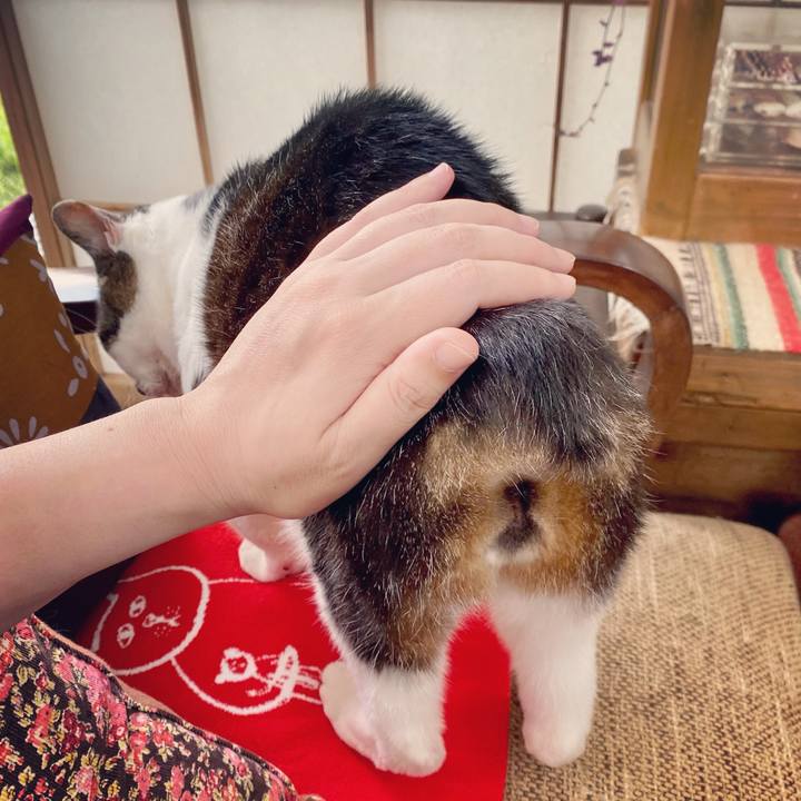 38b92f35 938a 45cd 8c0e a69292b6d738 1622362091779