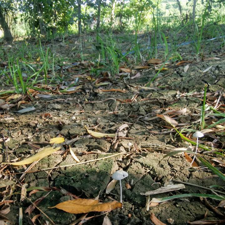 38b93901 91be 4fb0 8d79 ac06b576d399 1535242052200