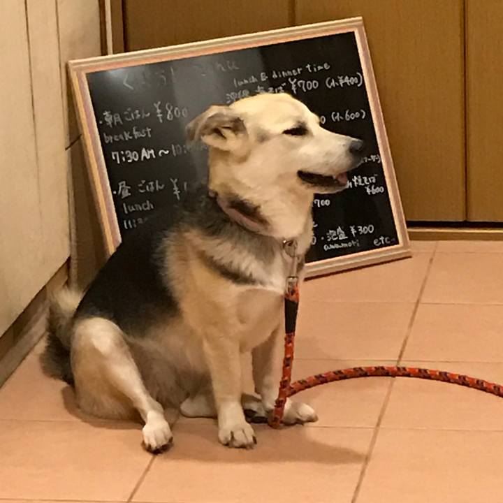 38b95a23 6df7 426e 9a09 31d1a07c7e79 1511705936329