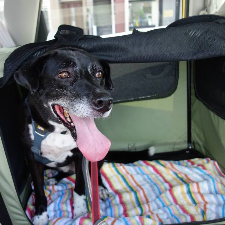 38b95aa6 5573 4d91 bac9 0a9c283f5b9c 1724410354624