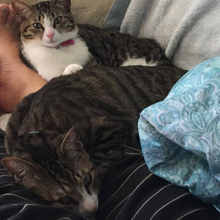 38b96c30 0633 475a a85f 43a988559406 1665102024309