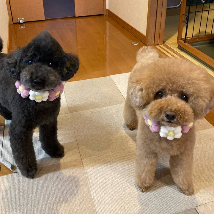 38b97801 7615 4ca9 bcf2 7aa2c9121c38 1680227662774