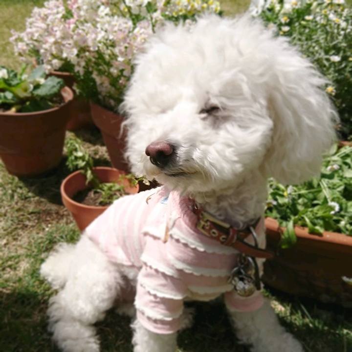 38b97a69 0c2d 4d79 b6cb 88e6bb0ca395 1526016772705