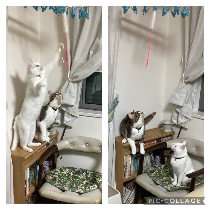 38b97f44 d92e 4615 b545 d574408feddb 1652695083339