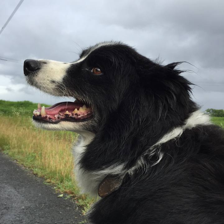 38b984b1 4b69 43cd be1e d426314a1323 1559949538174