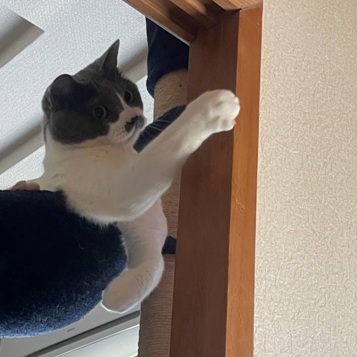 38b985e9 f3cb 4a06 a3de 258ee0340c7e 1745450474393