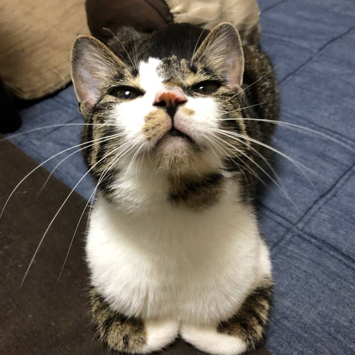 38b9937e 11fc 468f afda 8c89ce85521e 1528381874486