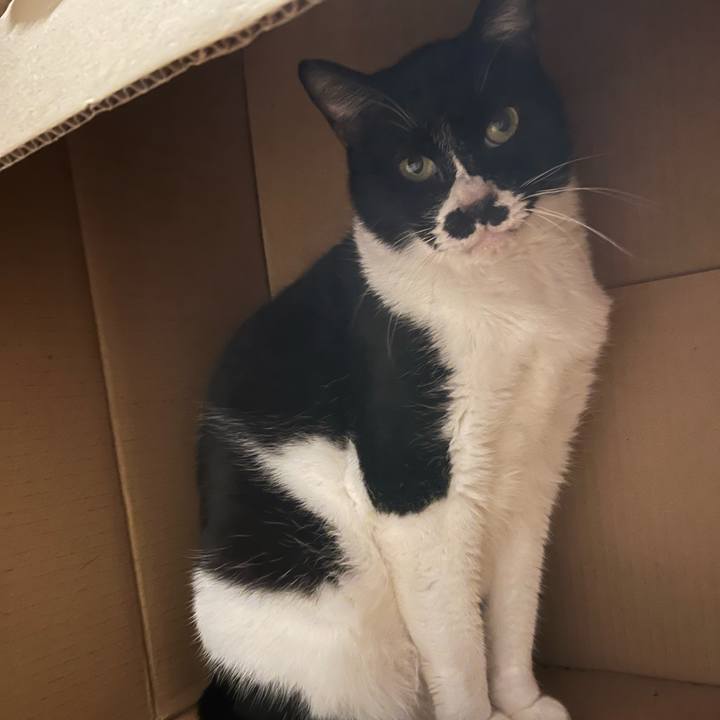 38b99507 bffb 4b3f 88ba c2fa8930f37b 1699867845726