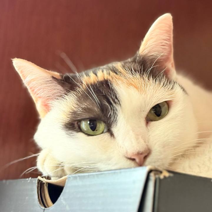 38b997d9 6ea3 4ef9 a5fd 75149b53d824 1754098227504