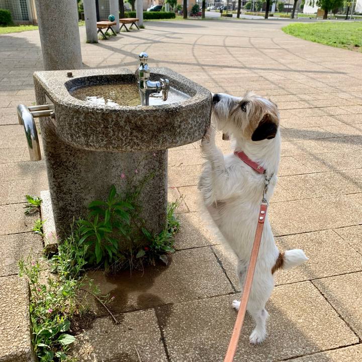 38ba2901 e703 456f 8aa3 b5114679ec7a 1684667414201