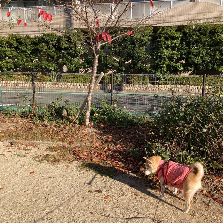 38ba5778 ec10 4f54 a32d 4c994dcd1733 1639464603218