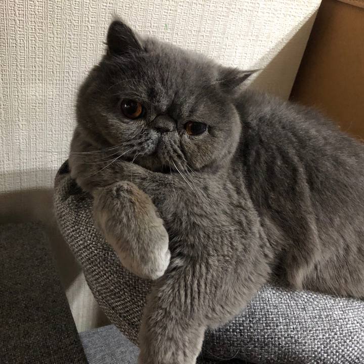 38ba67fa 04fe 490b b48b 989139371e7e 1576579161979