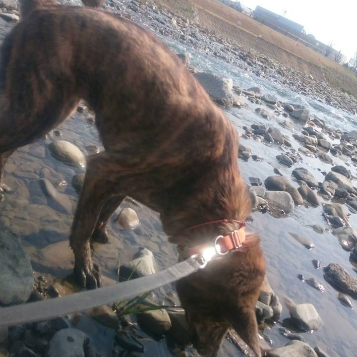 38ba692f 6183 4a5f a9d5 99c41e7639d0 1521946021939