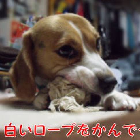 38ba71b8 758f 40e4 adb2 21c9e8ddd26e 1705365558791