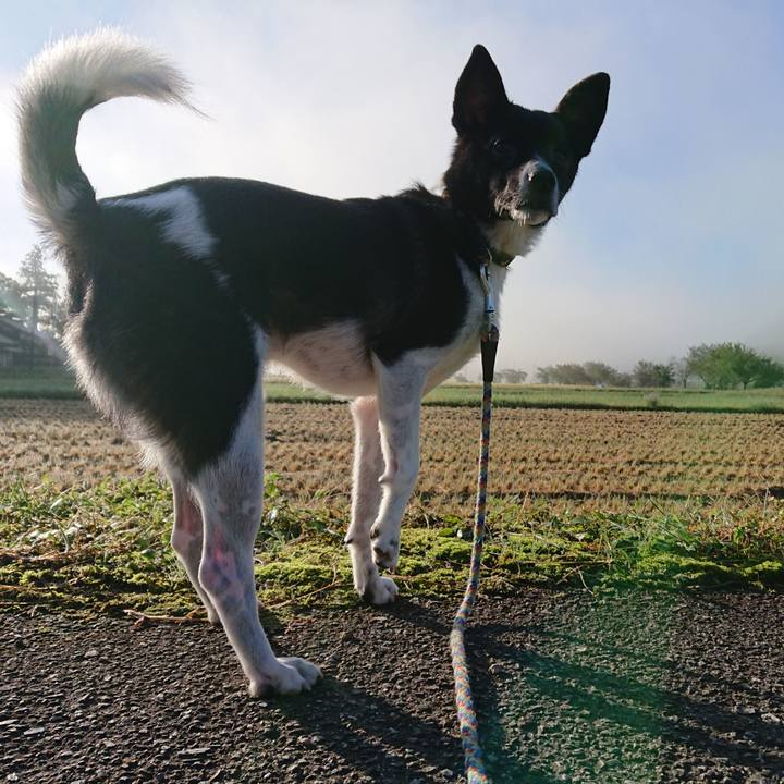 38ba8e78 c067 495f ab78 b7c53849700c 1538089890009