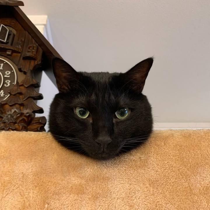 38bac9d1 7285 472c 8f48 18923cf1cb2e 1665531311121