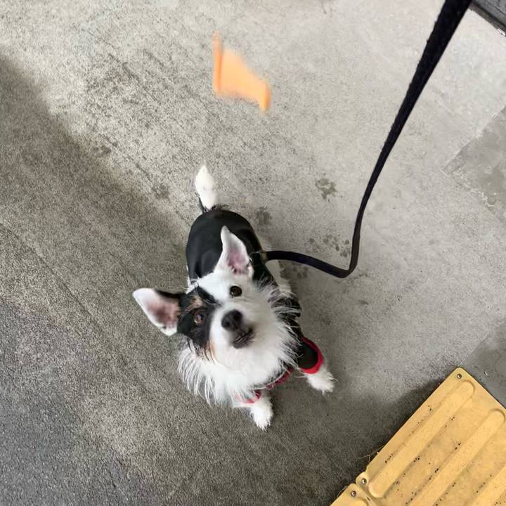 38bb00cf ca78 4be0 9ab3 95eb11103d89 1673655017072