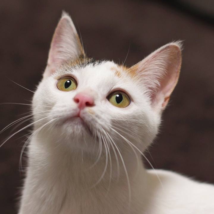 38bb3908 1e7d 4514 8d2a 5928eedb32a3 1556753958653