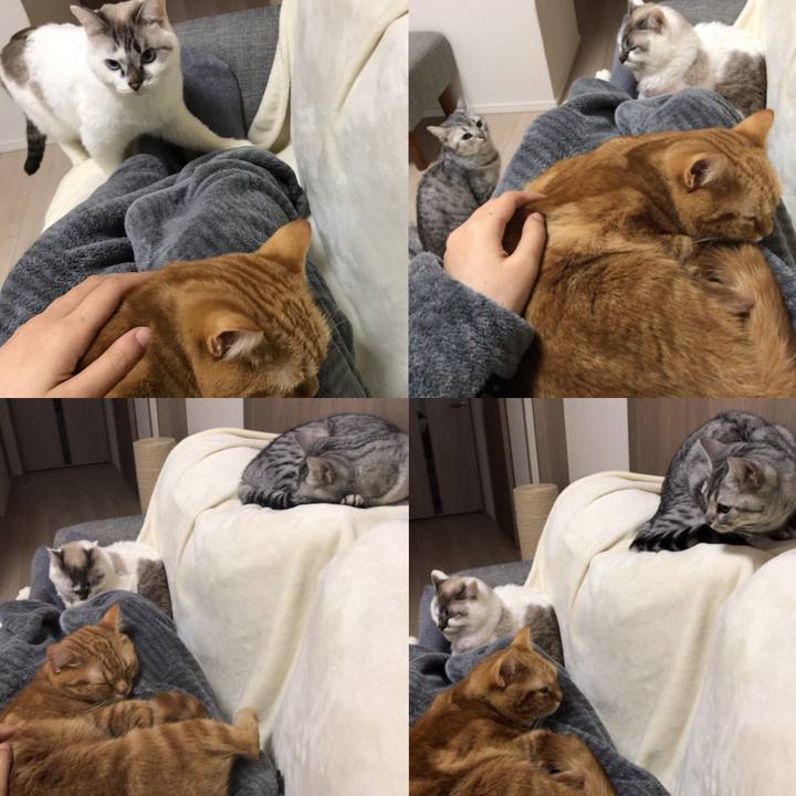 38bb7197 5d86 426c ae57 fa32133dc844 1545523702228