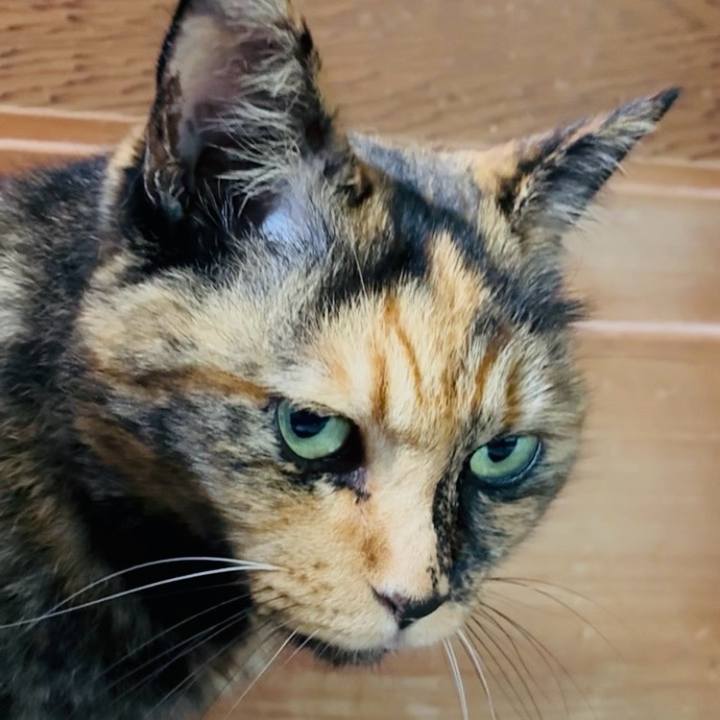 38bb77a8 fb2a 4986 920a ba66bf26e858 1757039896174