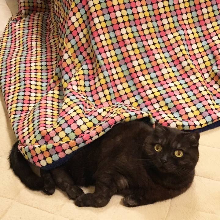 38bb7f1c f723 4315 b8b8 d1c53c6e1fae 1520701409617