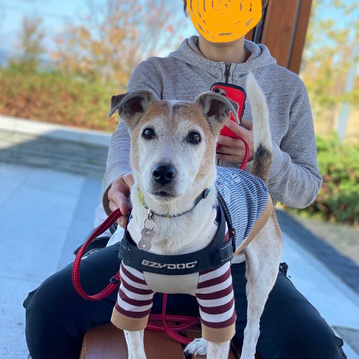 38bbdfdc d779 4292 b3f7 1536e00c7a61 1604400320745