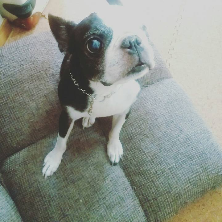 38bbf1f7 8992 4516 89d0 8cc267ee6e9b 1535719652841