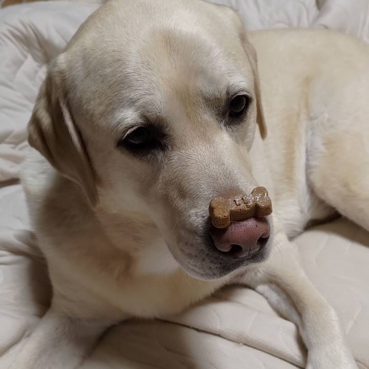 38bc0a4e 14b5 45e8 b8f2 2fdca6ea7826 1666096158499