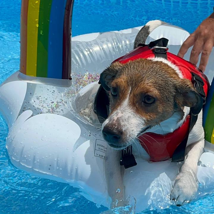 38bc262a 8dea 4ede aa8f 0451e417831f 1723275159750