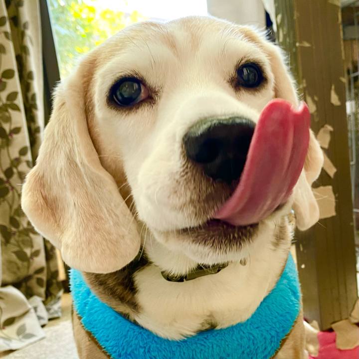 38bc3a11 96a6 4bd5 998d ef897d7614b7 1644984698064