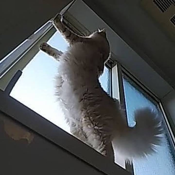 38bc8848 afa8 426e 9753 408fb82a9791 1619512814795