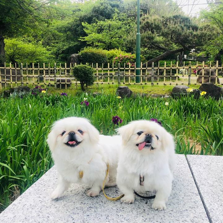 38bd0da8 45c8 465b bdf3 ec6a4964c541 1619317094577