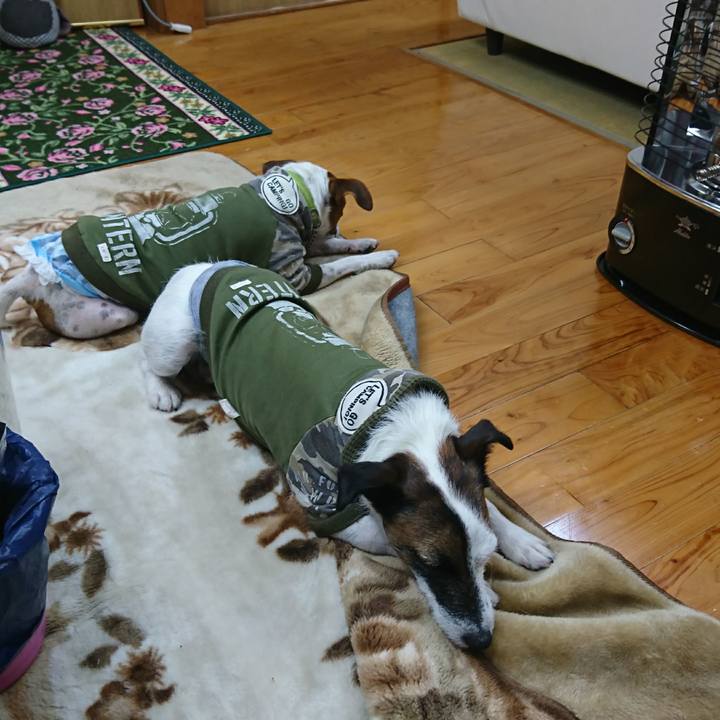 38bd2370 b084 4c6d ae20 09ee07a5fd2c 1606257028827