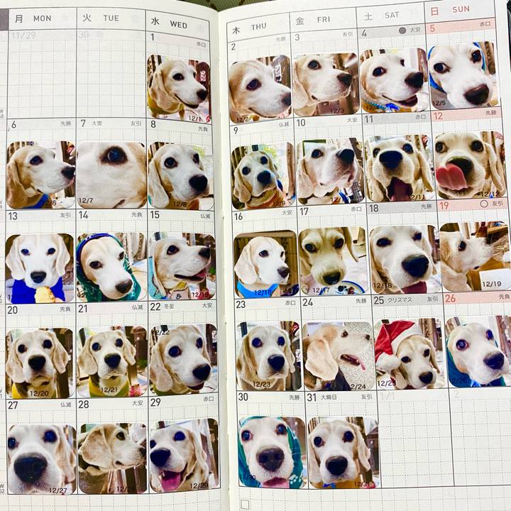 38bd4607 3657 453b 8db8 0af9c3eb7b40 1644293452873