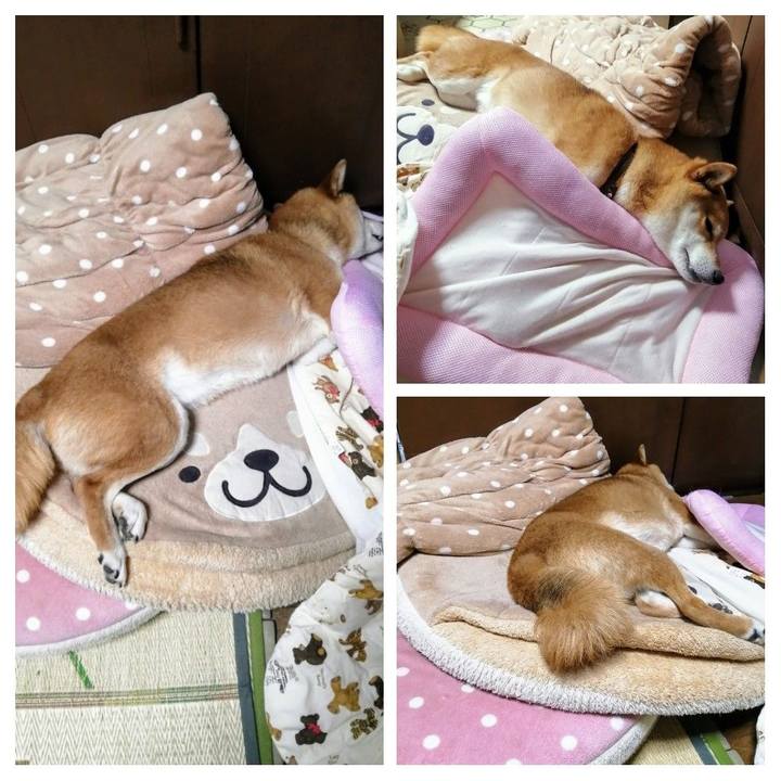 38bd53d8 af99 41ef 9a6c cf56c5a0f499 1622295915437