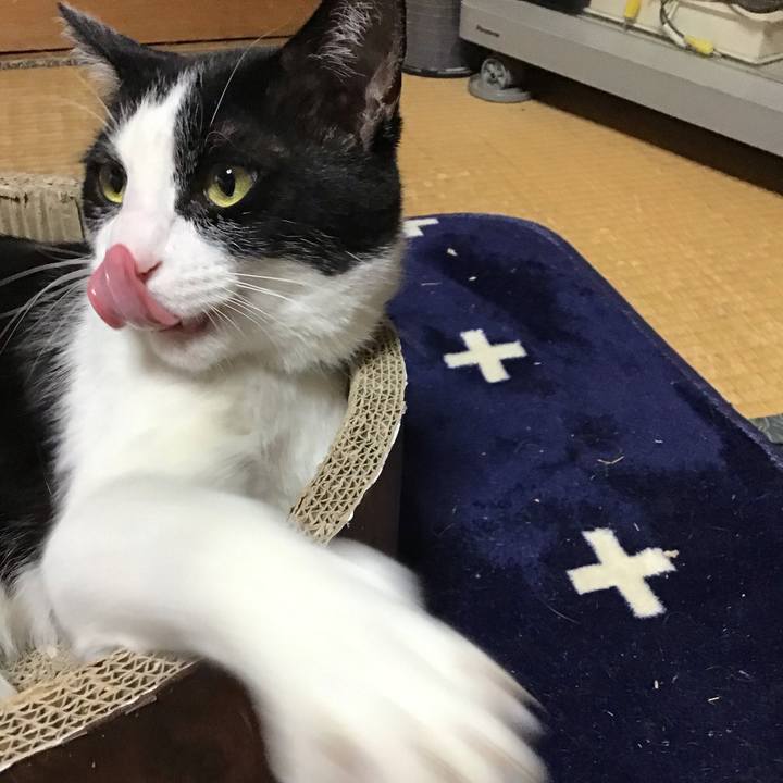 38bda67e d672 4003 b8a4 ea3b3d669b4d 1713780719586