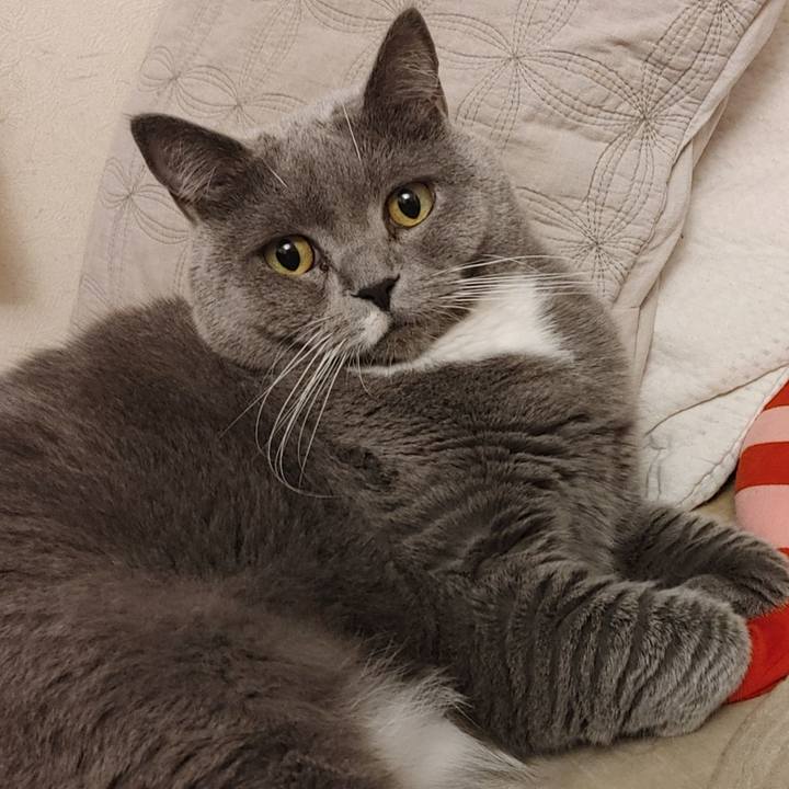 38bdb002 d378 4b28 866d 337ac2ff37f1 1620645033375