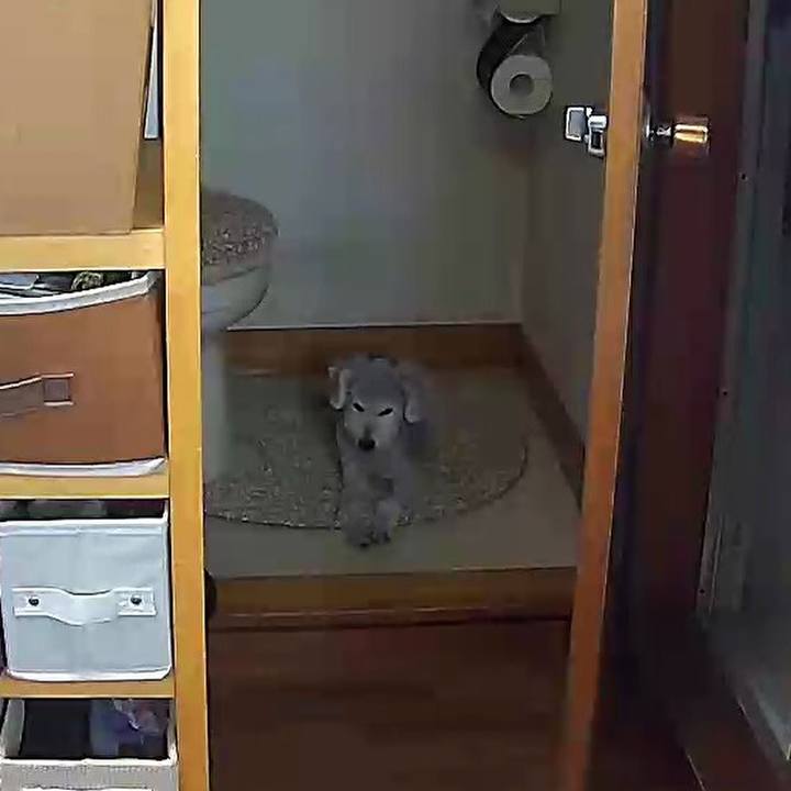 38bdbda6 2a56 4f77 b703 2ded0a1e7814 1632445549976