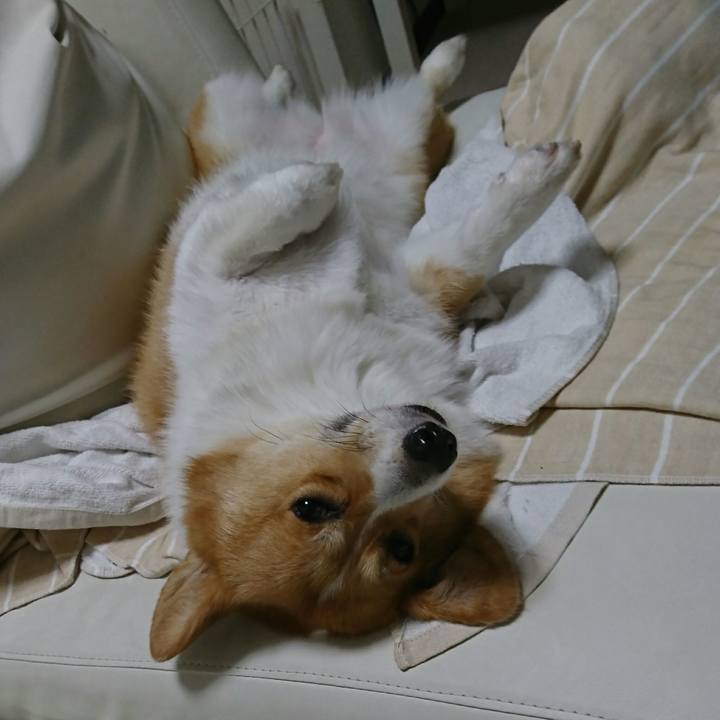 38bdeb4e 1ee3 4df4 9fbe 2f0d99a16fa3 1535031453983