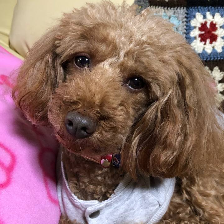 38be0252 f4de 4d92 9f89 1b0dfc993f61 1585198893215