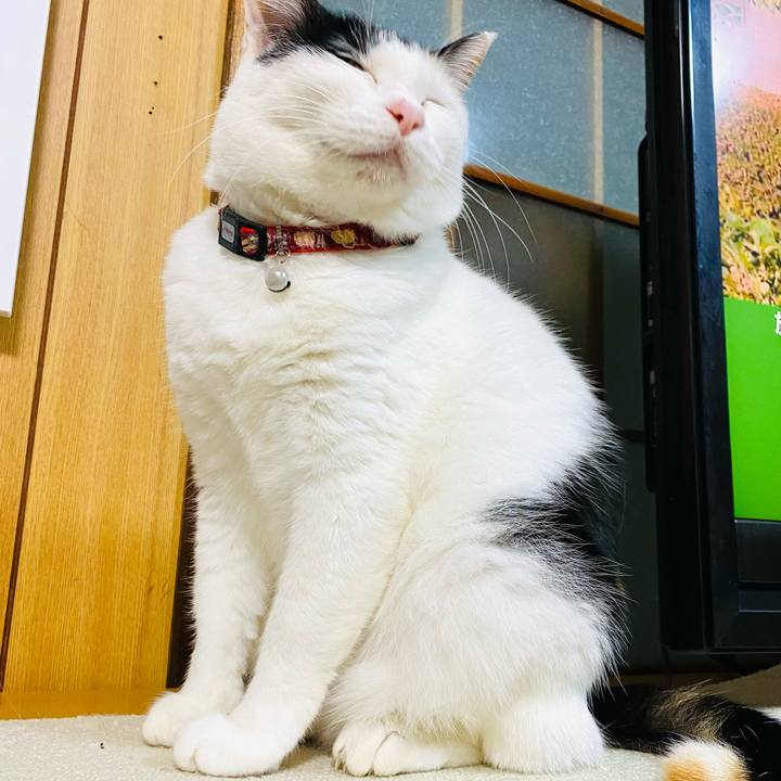 38be1089 4976 4eea 8535 ac76f8ac015f 1673646970330