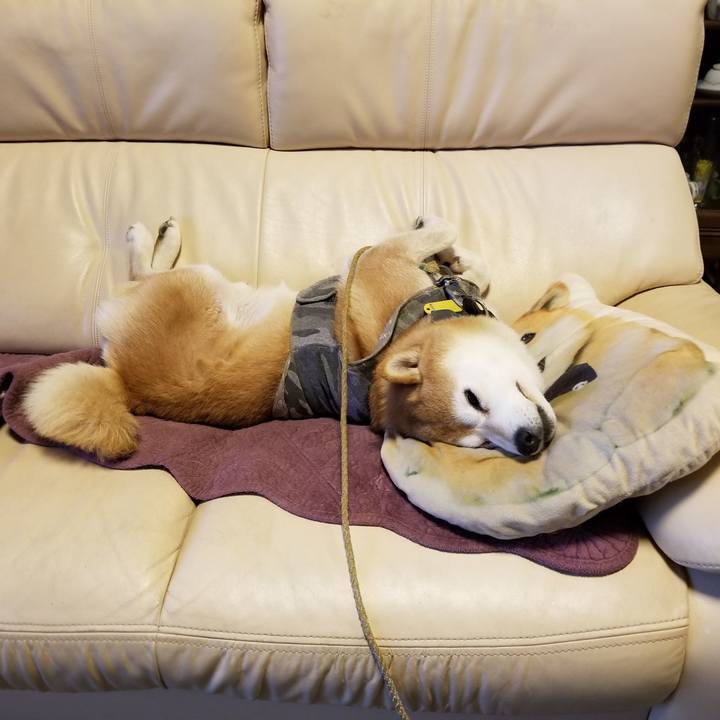 38be88c0 1b53 4604 ac37 5337be0c978b 1644314149755