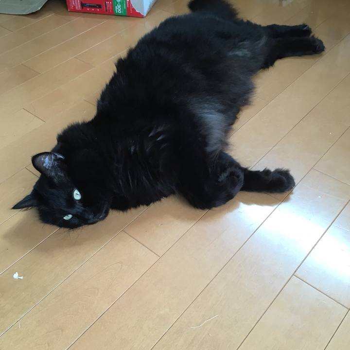 38be939c 4bd3 4720 a1e2 996ca65bb11e 1530504158602