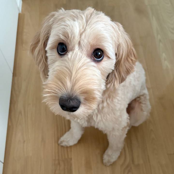 38beb725 2e7c 420c 9587 22f31b7f4969 1757981976504